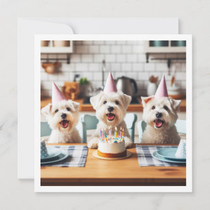 Witte terrier kaart, Witte terrier verjaardag Kaart
