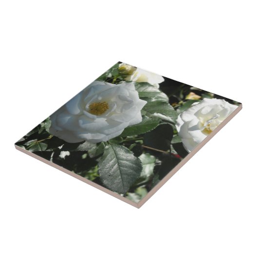 Witte thee Rozen Tegeltje (Zijkant)