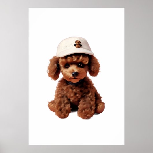 Witte Theekopje Poodle Map Poster (Voorkant)