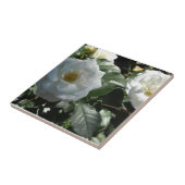 Witte Theerozen Tegeltje (Zijkant)