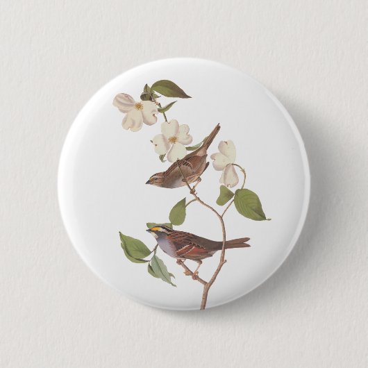 Witte-Throated Sparrow Audubon Bird in Dogwood Ronde Button 5,7 Cm (Voorkant)