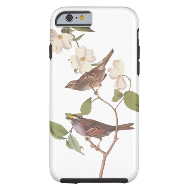 Witte-Throated Sparrow Audubon Birds in Dogwood Case-Mate iPhone Case (Achterkant)