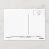 WITTE TIGER BRIEFKAART (Achterkant)