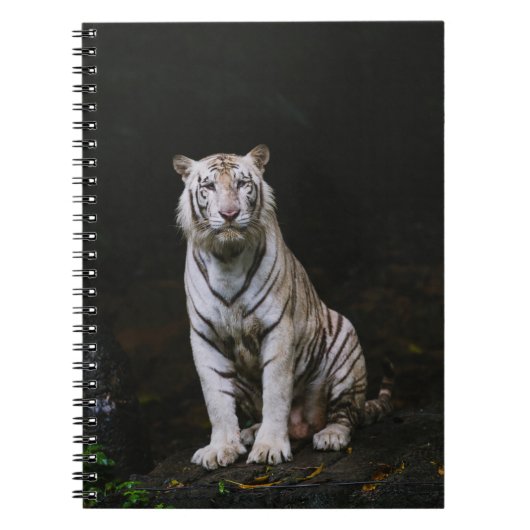 WITTE TIGER NOTITIEBOEK (Voorkant)