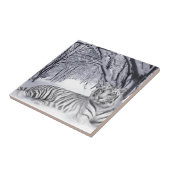 WITTE TIGER TEGELTJE (Zijkant)