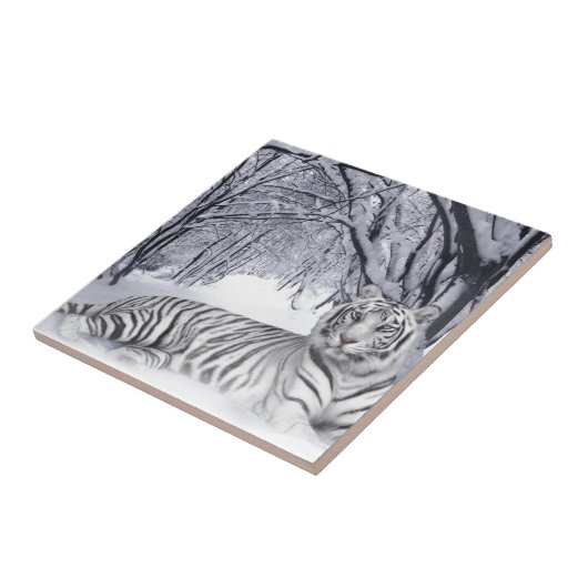 WITTE TIGER TEGELTJE (Zijkant)