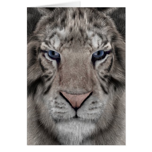 Witte tijger (Voorkant)