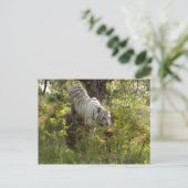 Witte tijger 010 briefkaart (Staand voorkant)