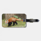 Witte tijger 3825e bagagelabel (Achterkant horizontaal)