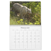 Witte Tijger 3949e, Witte Tijger Kalender (Feb 2026)