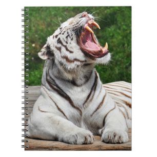 Witte Tijger, Bengaalse Tijger Notitieboek