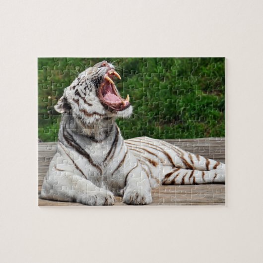 Witte Tijger, Bengaalse Tijger Puzzel (Horizontaal)