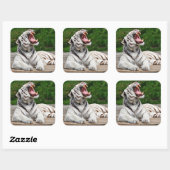 Witte Tijger, Bengaalse Tijger Sticker (Vel)