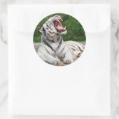 Witte Tijger, Bengaalse Tijger Sticker (Tas)