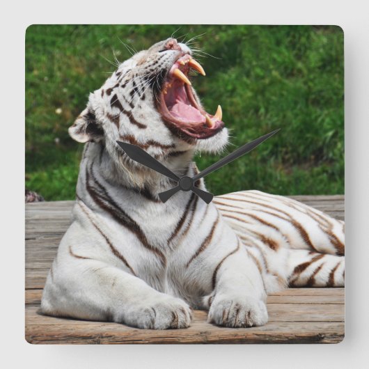 Witte Tijger, Bengaalse Tijger Wandklok (Voorkant)