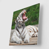 Witte Tijger, Bengaalse Tijger Wandklok (Hoek)