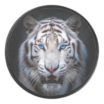 Witte Tijger Blauwe Ogen