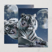 Witte tijger briefkaart (Voorkant / Achterkant)