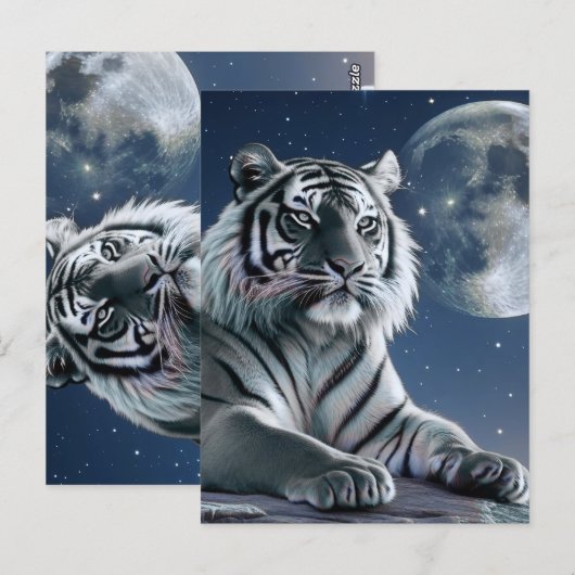 Witte tijger briefkaart (Voorkant / Achterkant)