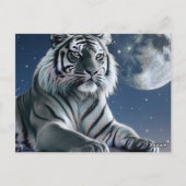 Witte tijger briefkaart (Achterkant)