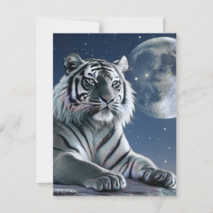 Witte tijger briefkaart