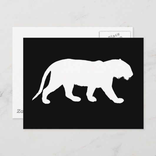 Witte tijger briefkaart (Voorkant / Achterkant)