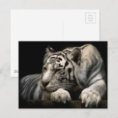 Witte tijger briefkaart (Voorkant / Achterkant)