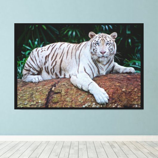 Witte tijger canvas afdruk (Insitu (Houten vloer))