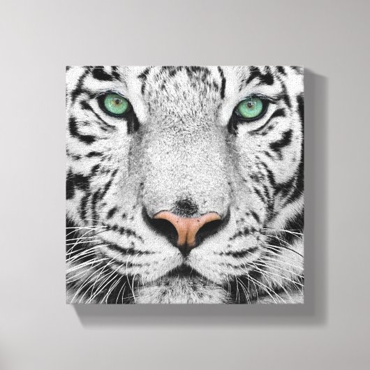 Witte tijger canvas afdruk (Voorkant)