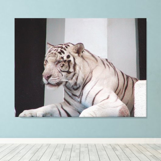 Witte tijger canvas afdruk (Insitu (Houten vloer))