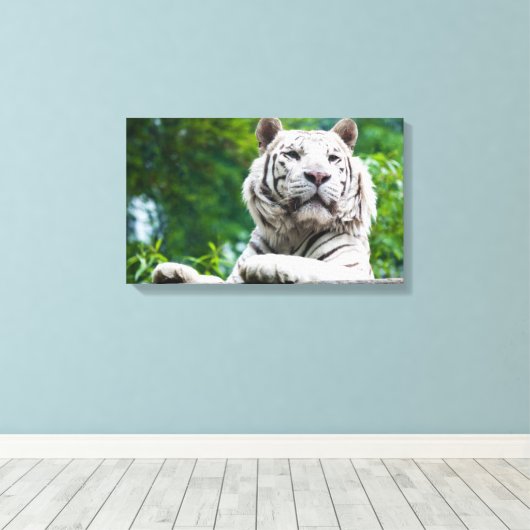 Witte Tijger canvas print (Insitu (Houten vloer))