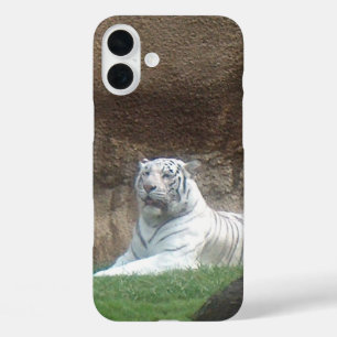 Witte Tijger iPhone 16 Plus Hoesje