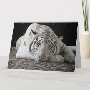 WITTE TIJGER CUTE VERJAARDAGKAARTEN GROTE KAART