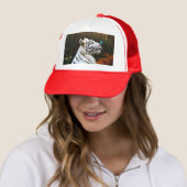 Witte tijger die liefdevolle momenten, Pet van tru (In situ)