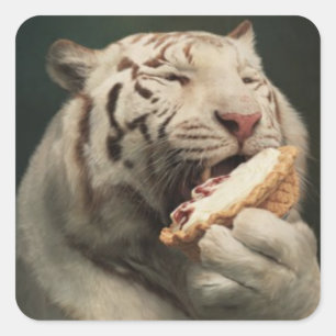 Witte Tijger die van Taart Houdt – Leuke Sticker