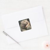 Witte Tijger die van Taart Houdt – Leuke Sticker (Envelop)