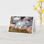 Witte Tijger Drinkend Water Kaart (Gele Bloem)