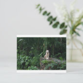 Witte tijger in de Oerwoud Briefkaart (Staand voorkant)