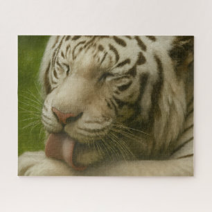 Witte tijger in een persoonlijk verzorgingsritueel legpuzzel