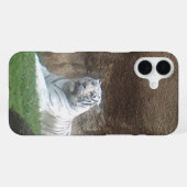 Witte Tijger iPhone Hoesje (Achterkant horizontaal)
