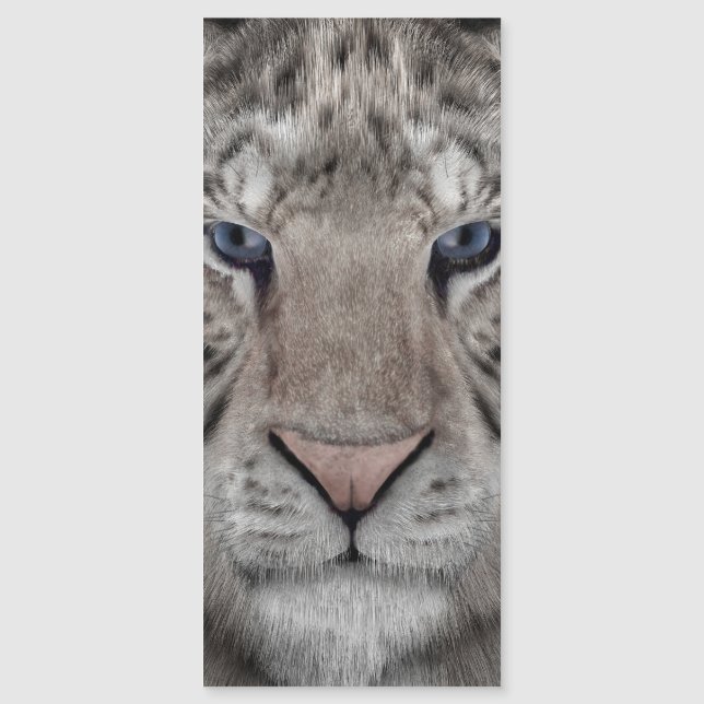 witte_tijger_kop (Voorkant)