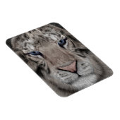 Witte Tijger Kop Wilde Dieren Esthetiek Magneet (Rechterzijde)