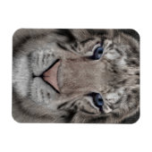 Witte Tijger Kop Wilde Dieren Esthetiek Magneet (Horizontaal)