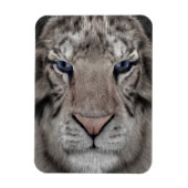 Witte Tijger Kop Wilde Dieren Esthetiek Magneet (Verticaal)