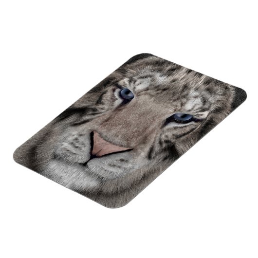 Witte Tijger Kop Wilde Dieren Esthetiek Magneet (Linkerzijde)