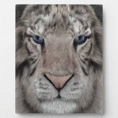 Witte Tijger Kop Wilde Schoonheid Fotoplaat (Voorkant)