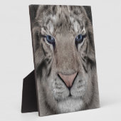 Witte Tijger Kop Wilde Schoonheid Fotoplaat (Zijkant)