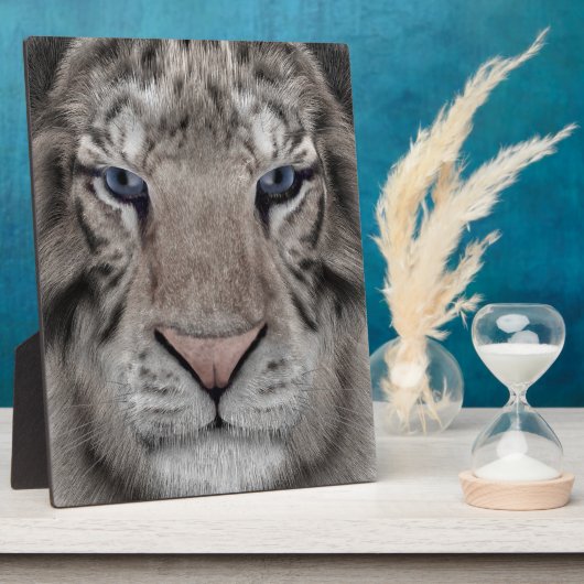 Witte Tijger Kop Wilde Schoonheid Fotoplaat (Zijkant)