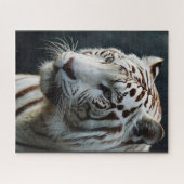 Witte tijger legpuzzel (Horizontaal)