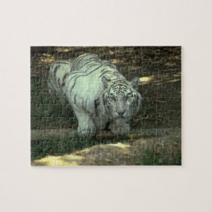 Witte tijger legpuzzel